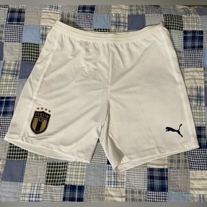 Puma Italy Men’s Soccer Shorts - L
